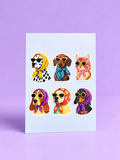 Incognito Pets