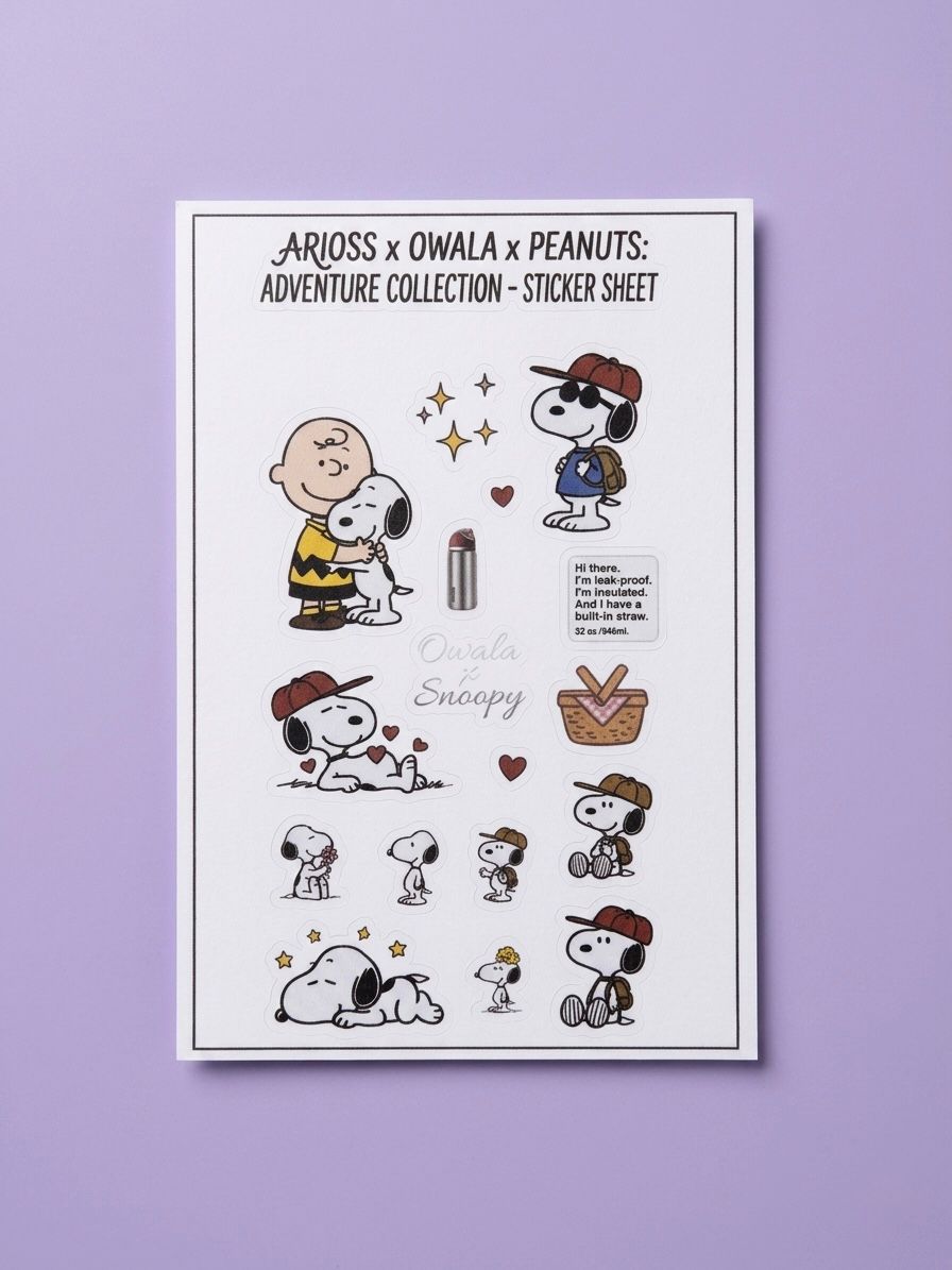 Owala x Snoopy collection